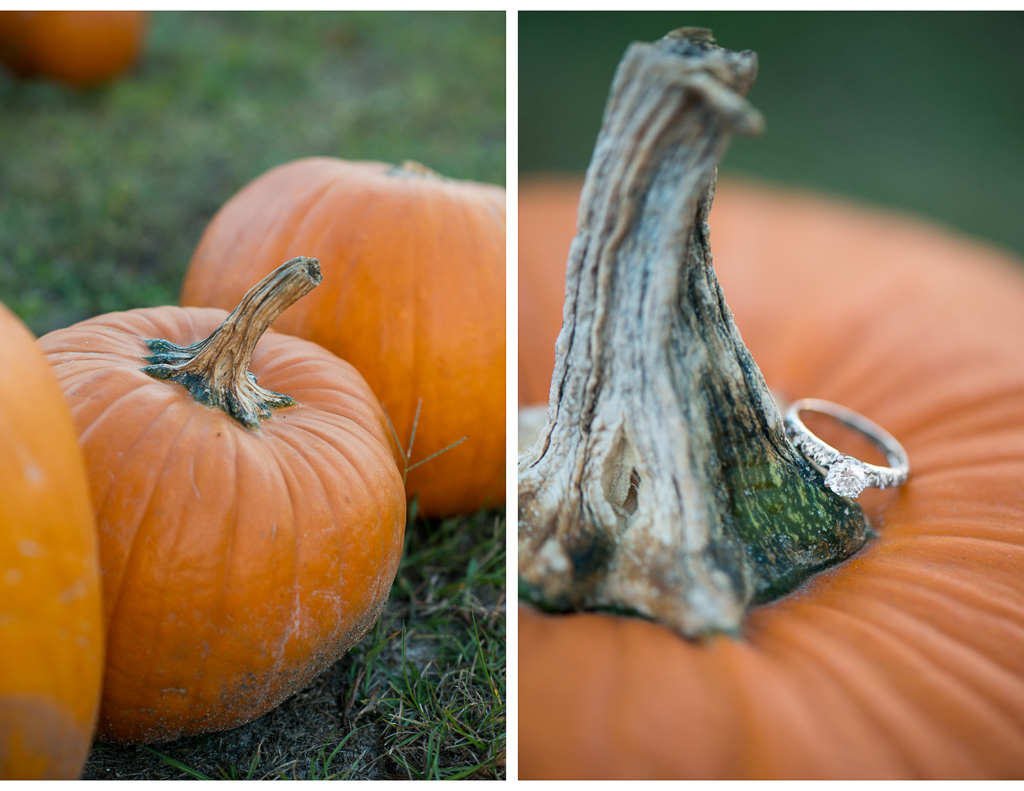 Columbia-fall-pumpkin-engagement-photos-133