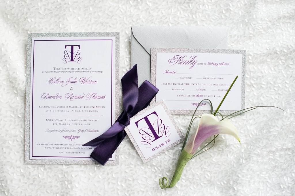 clemson-purple-silver-wedding-photos-101